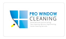 Creative Next Solutions client pro window cleaning